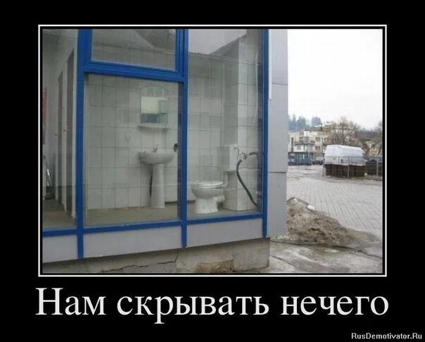 iER3bxqYN88.webp