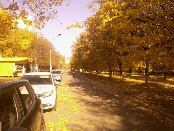 IhSU6wPVxNo.webp
