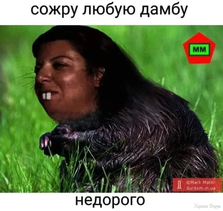 ijpUbBeVi839tR4cGAvFKvuoGZ2&_nc_ht=scontent-waw2-1.webp
