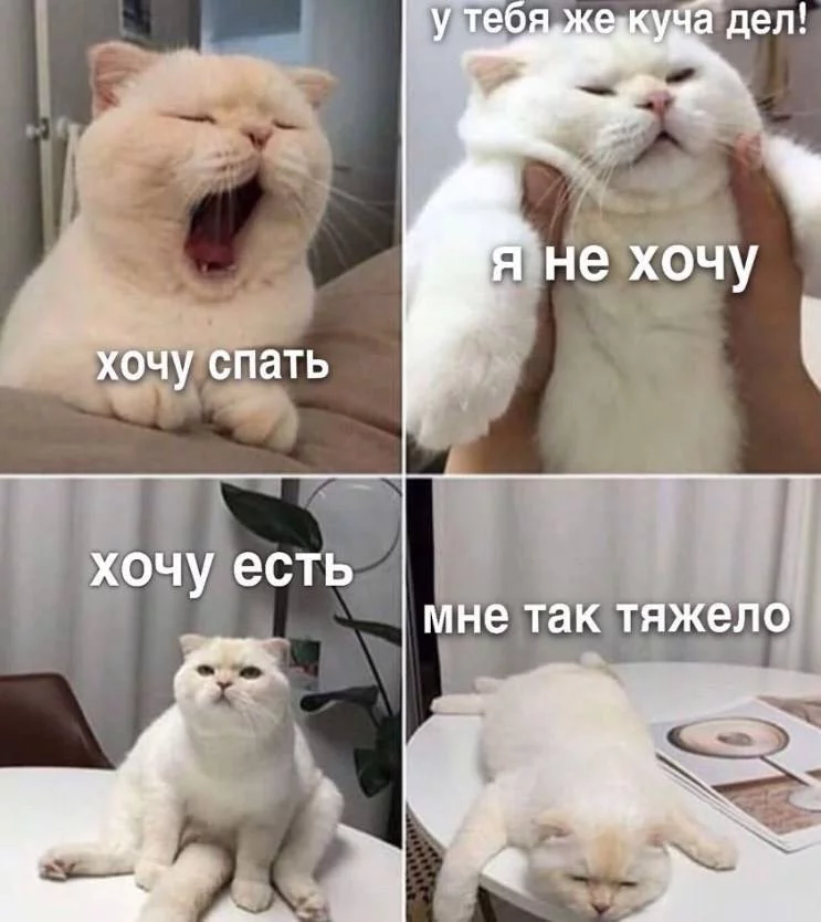 IjzqKOwqUx.webp