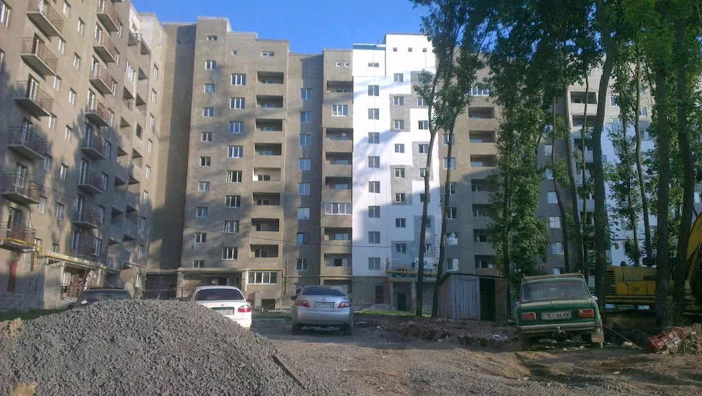IMAG1464.webp