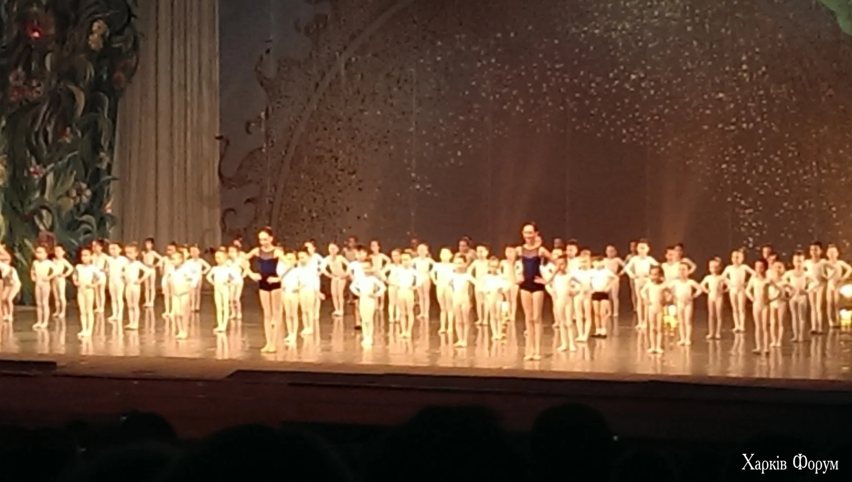 IMAG1909.webp