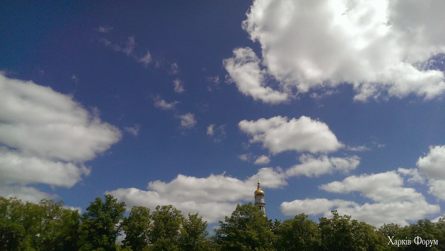 IMAG1976.webp