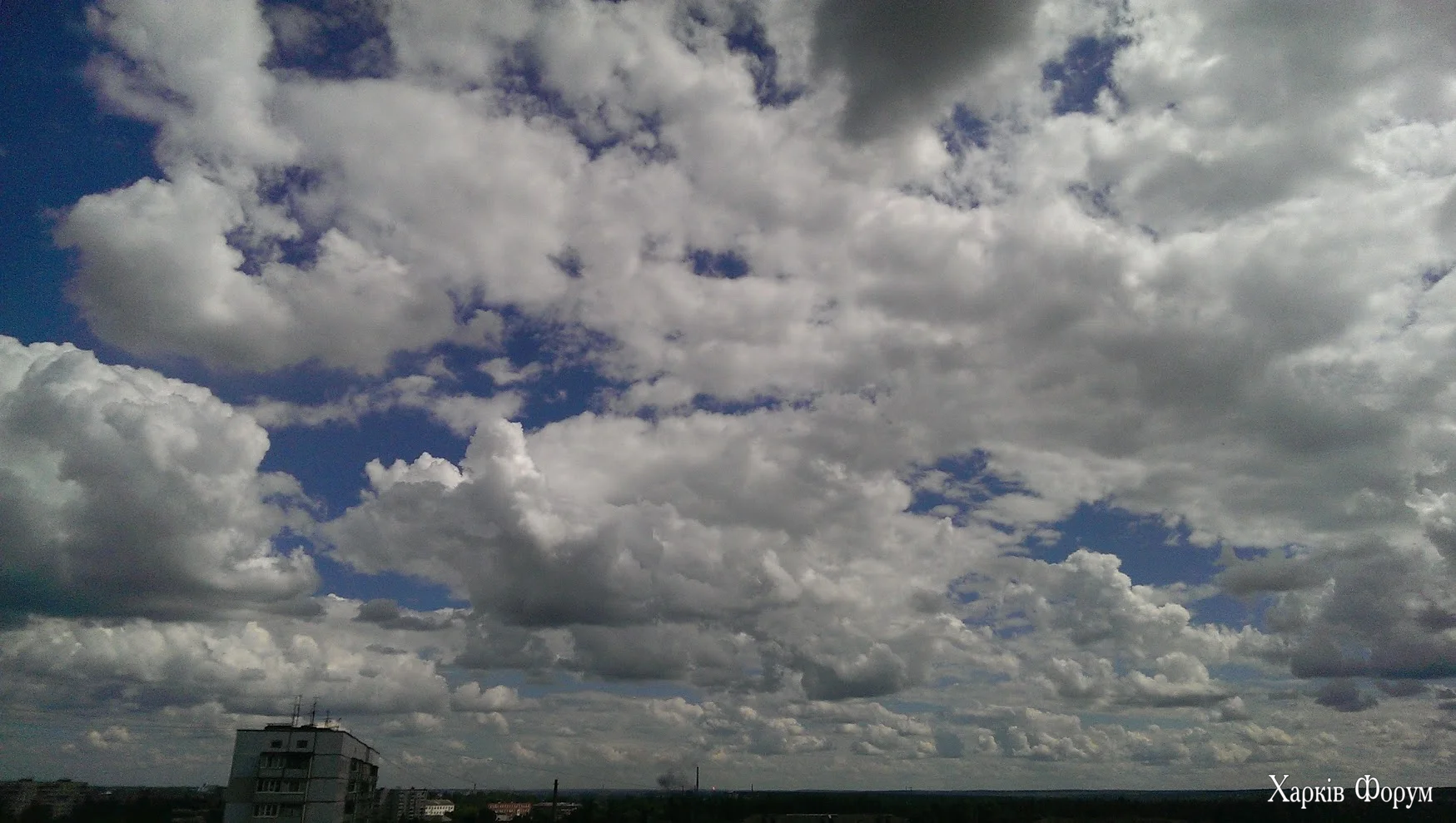IMAG2047.webp