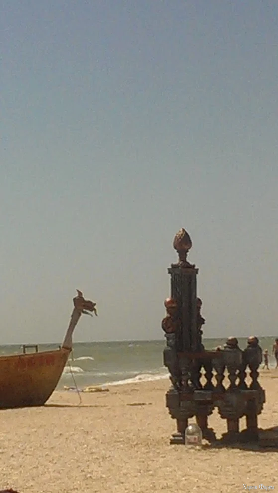 IMAG2248.webp