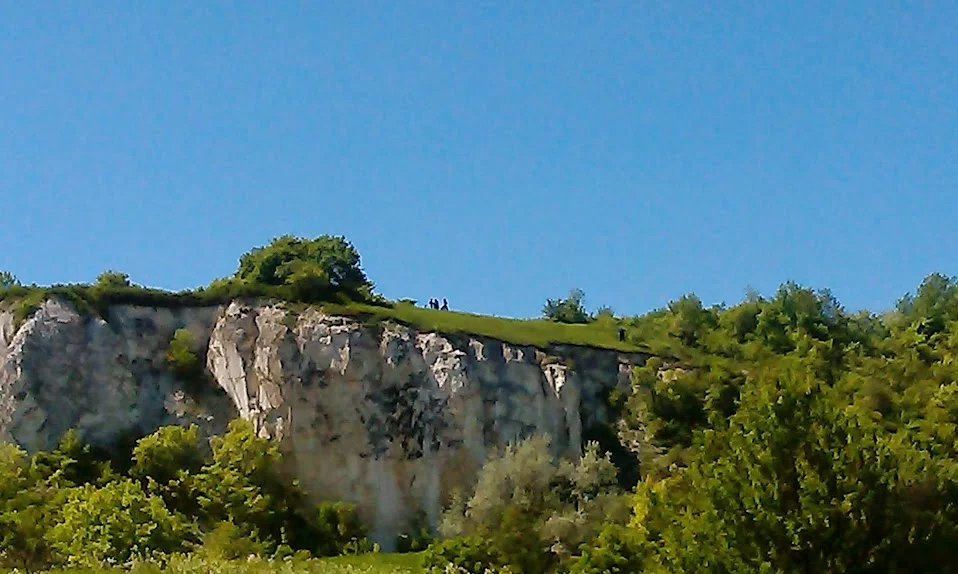 IMAG2311.webp