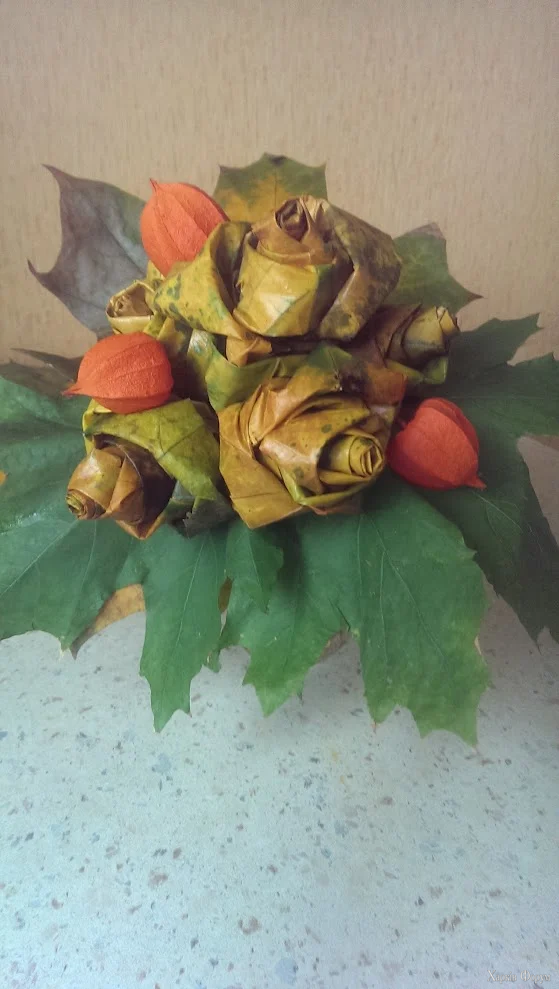 IMAG2630.webp