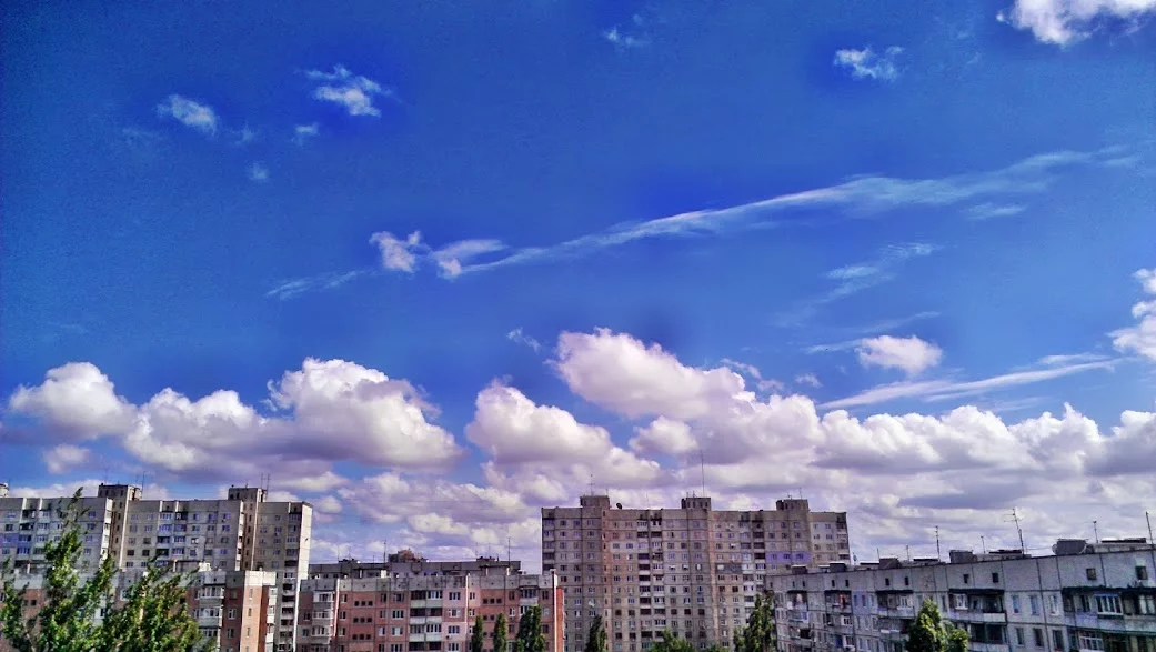 IMAG3837.webp
