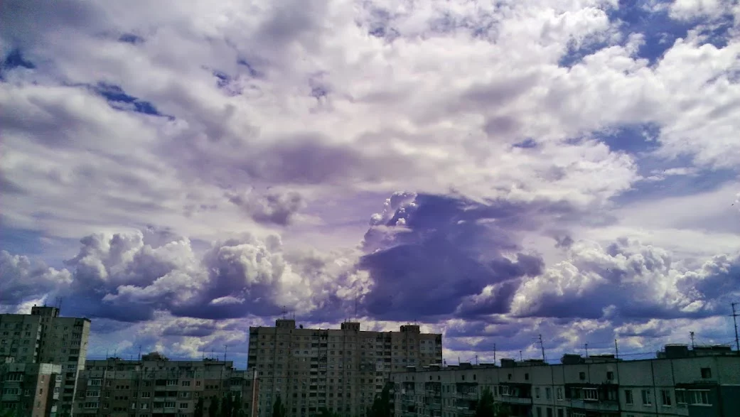 IMAG3927.webp