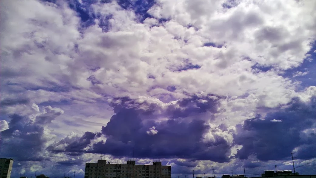 IMAG3928.webp