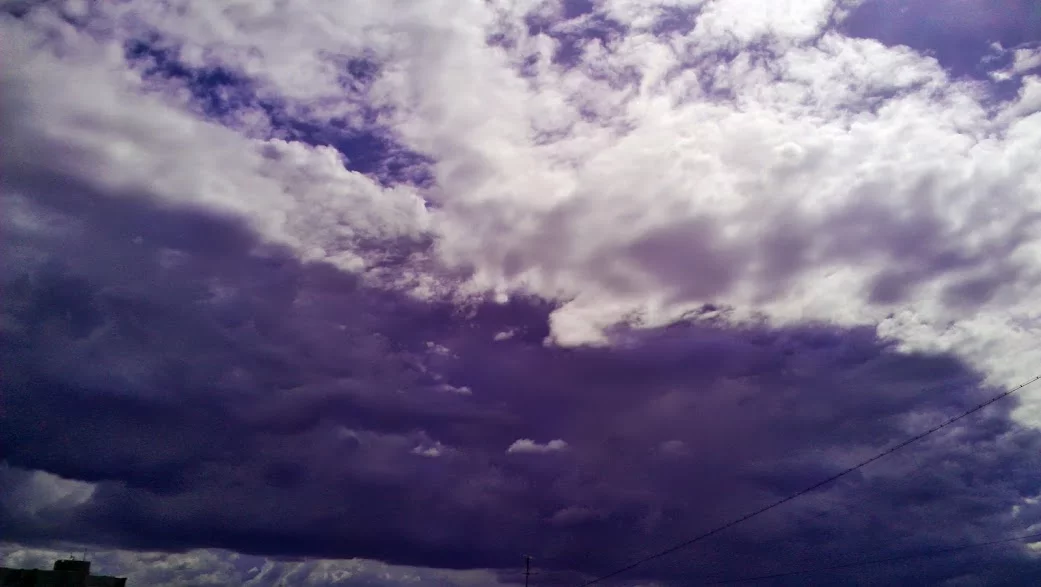 IMAG3932.webp