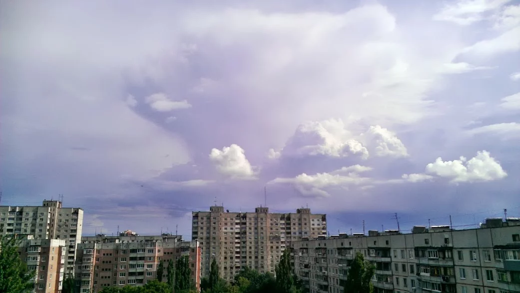 IMAG3952.webp