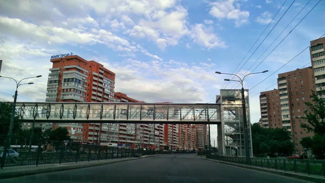 IMAG3969.webp