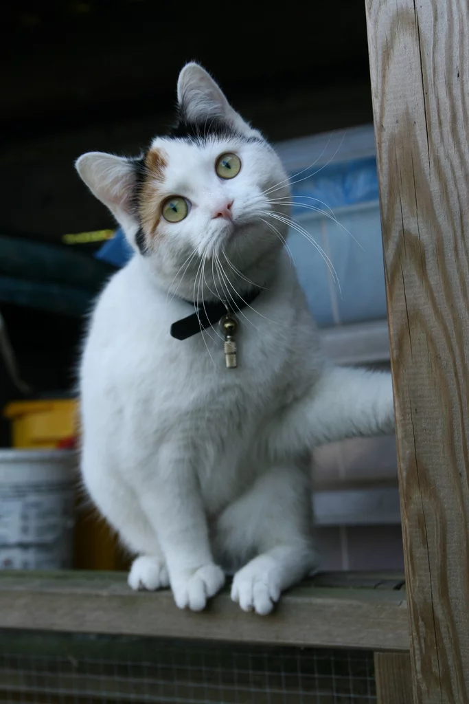 image-701950.webp