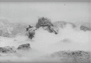 image-asset.gif