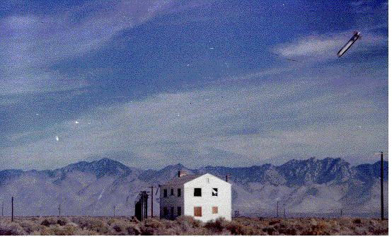 image.gif