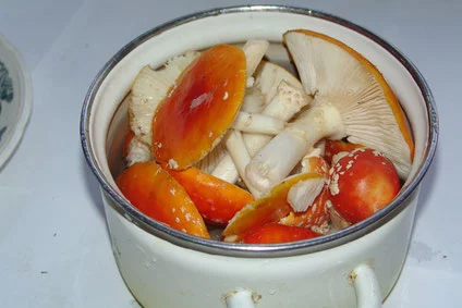 image.webp