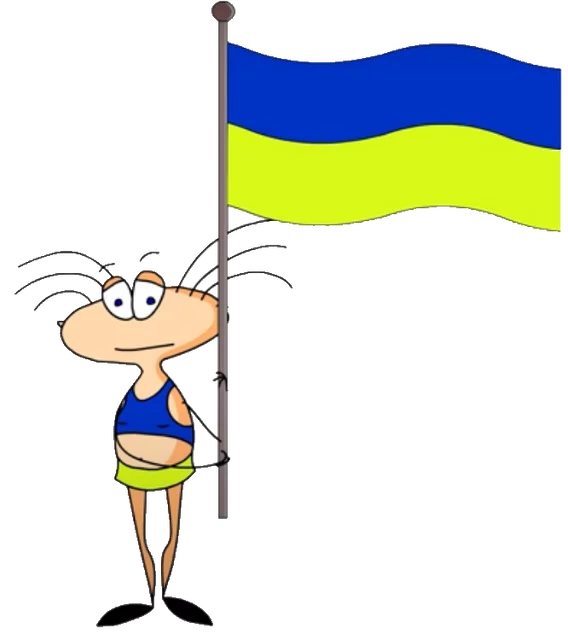 image.webp