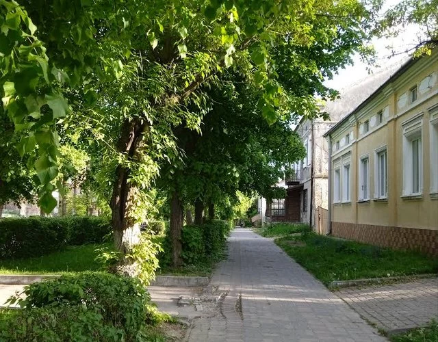 image.webp