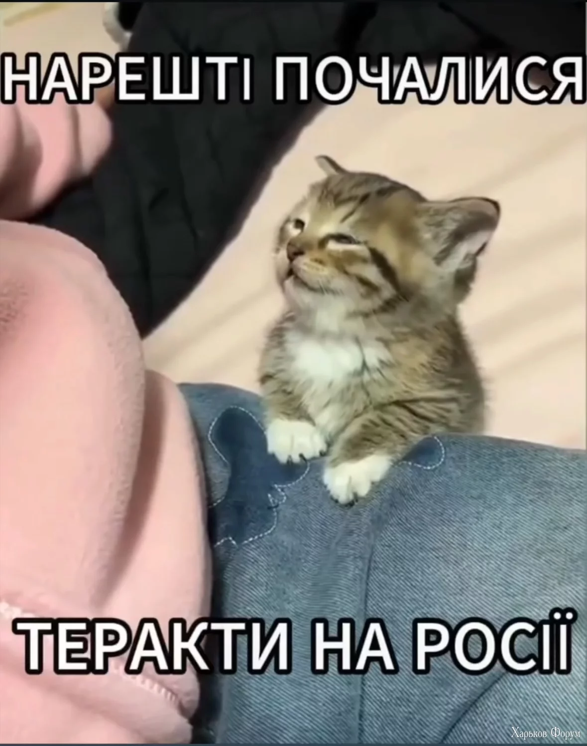Image.webp