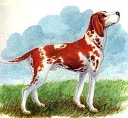 image003.webp