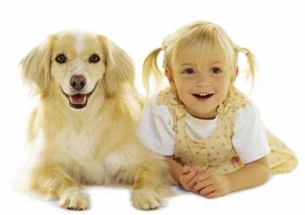 image004.webp