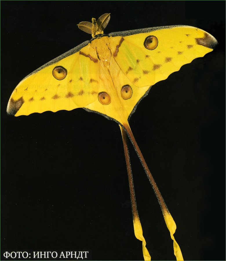 image012.jpg