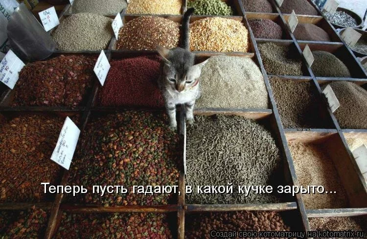 image016.webp