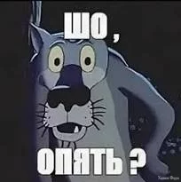 image11.webp