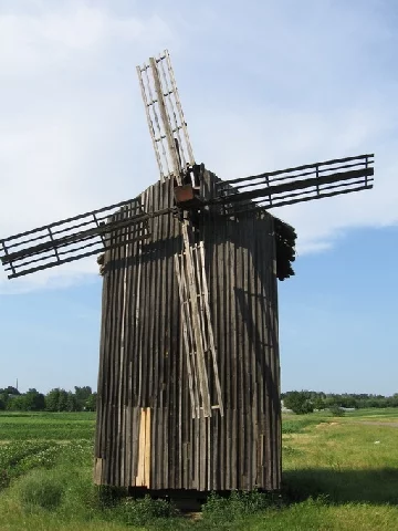 image16.webp