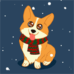 image_12412141735299254068.gif