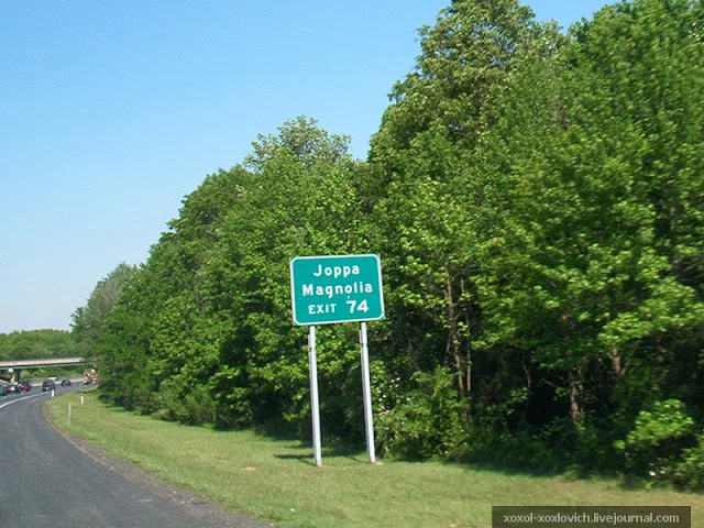 image_2.webp