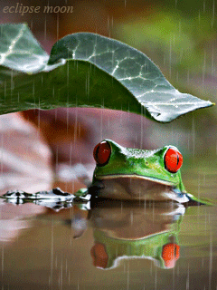 image_860504161643424776305.gif
