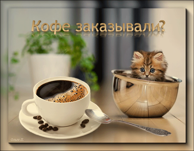 image_861601181100561164520.gif
