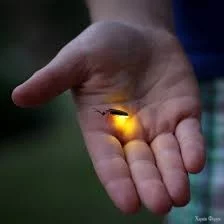 images (1).webp