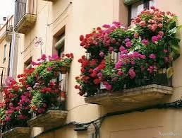 images (22).webp
