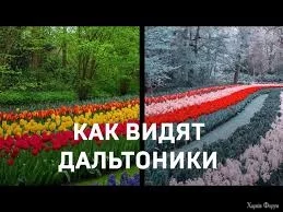 images (26).webp