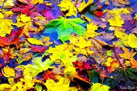images (3).webp