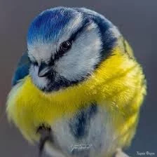 images (3).webp