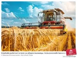 images (4).webp