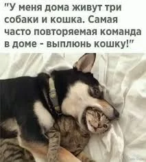 images (5).webp