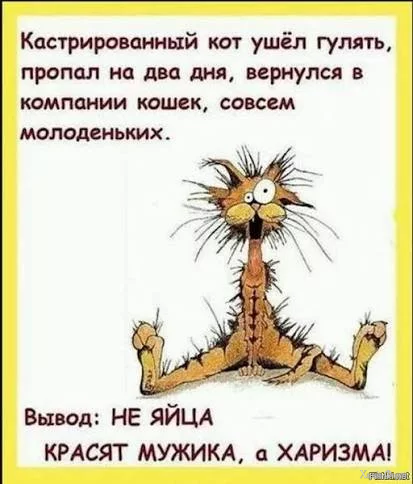 images (7).webp