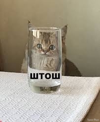 images.jpeg