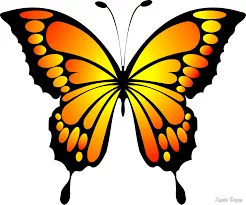 images.webp