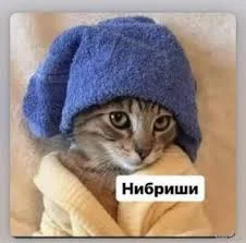 images.webp