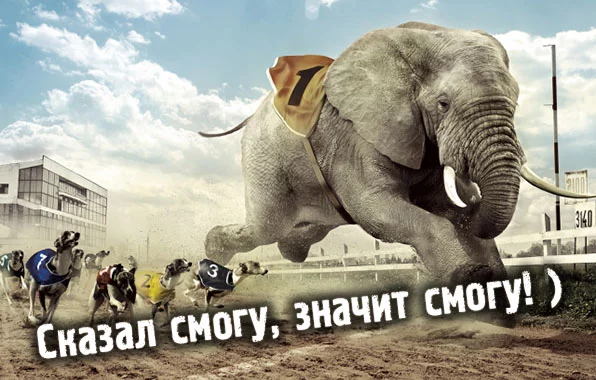 images_4213.webp