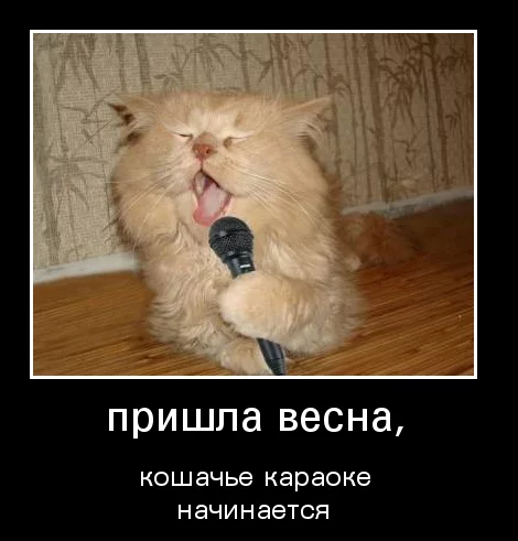 images_543.webp