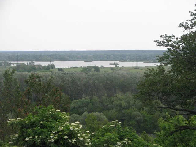 IMG-0007.webp