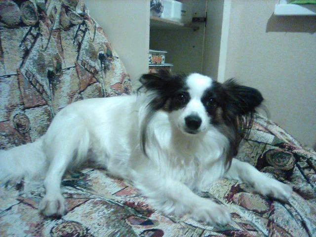 IMG-0141.webp