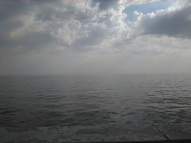 IMG-0294.jpg